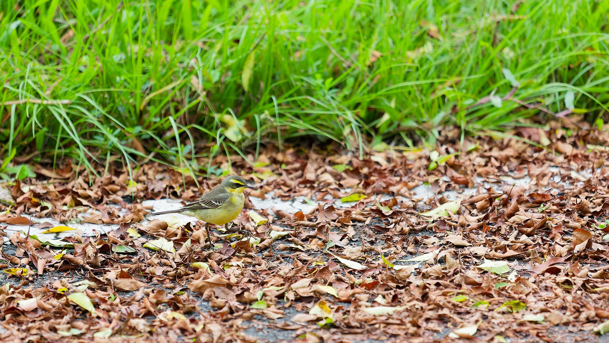 08 - Hualien (1).jpg